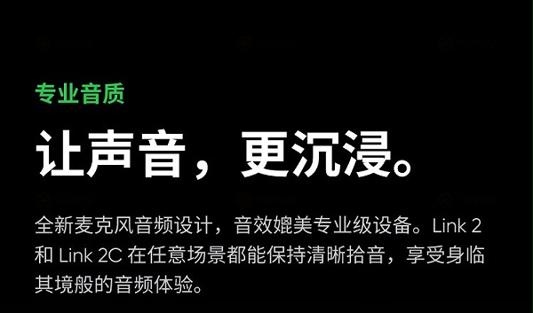 11、专业音质，声音更沉浸-影石Insta360 Link2&影石Insta360 Link 2C