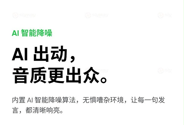 13、AI智能降噪，音质出众-影石Insta360 Link2&影石Insta360 Link 2C