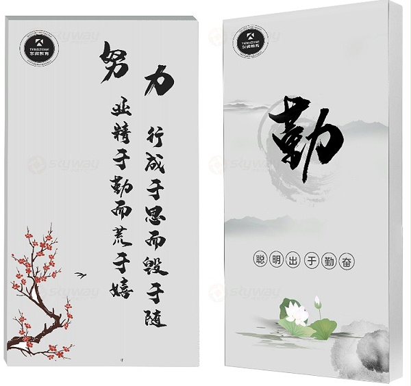 3、东微TENDZONE 健康声学平板音箱 AEL-50W