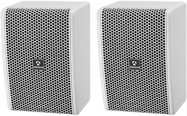 东微TENDZONE 6.5寸二分频全频音箱 AEL-605W(白色，含壁挂架) - 副本