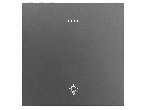 东微TENDZONE 单路零火灯光面板（按键+串口双控）CC-201