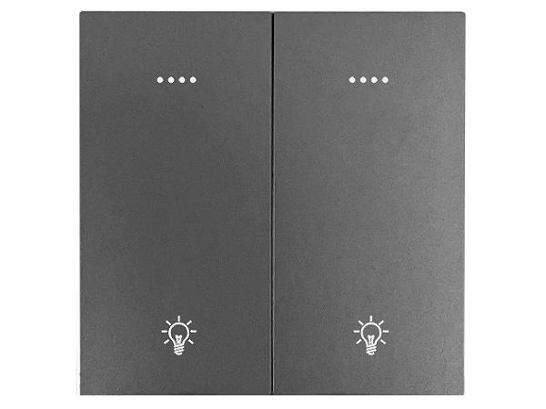 东微TENDZONE 双路零火灯光面板（按键+串口双控））CC-202