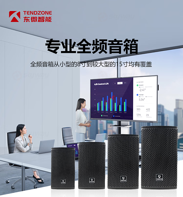 1、专业全频音箱8寸到15寸-东微TENDZONE二分频专业音箱TZOL-MS-10