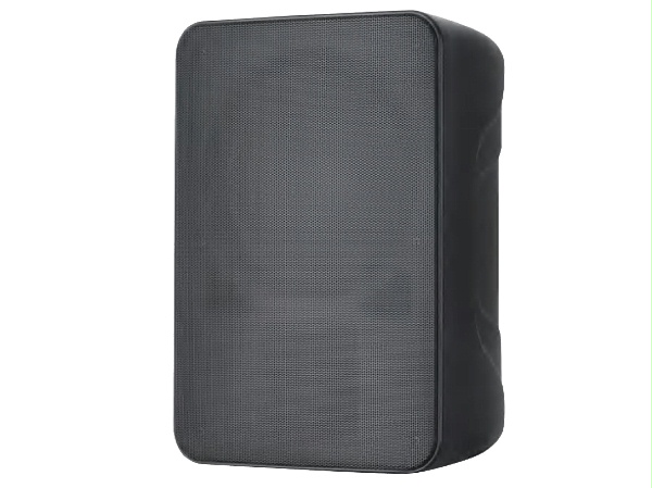 思必驰壁挂模拟音箱 DW80