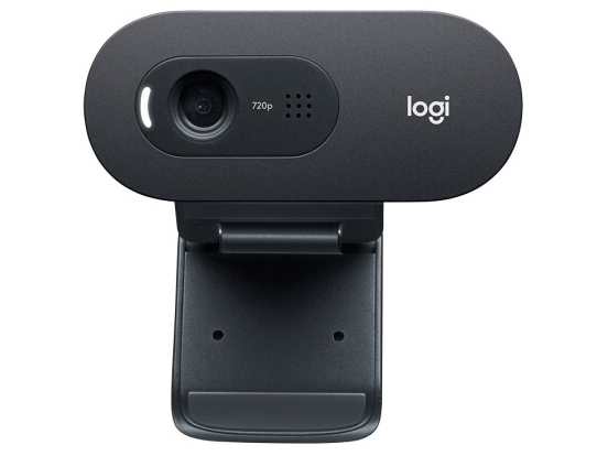 罗技（Logitech）C505e 高清网络摄像头