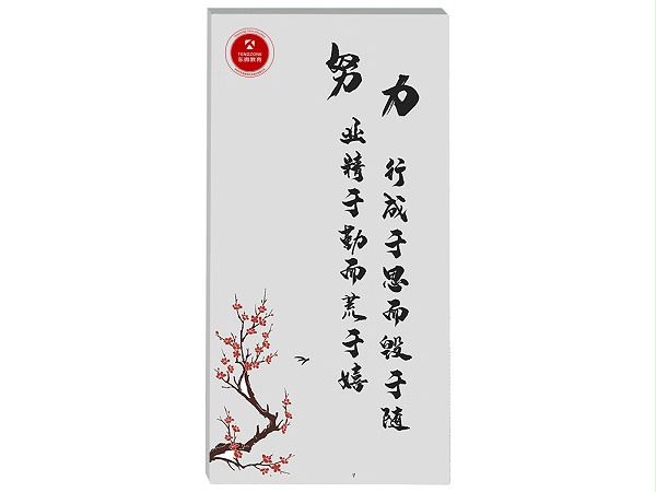 东微TENDZONE 教学平板音箱 MH-N50C (1)