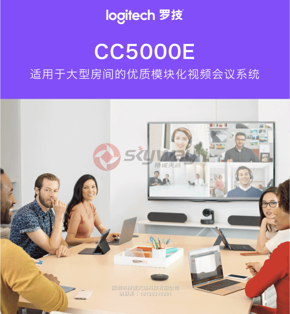 1、罗技(Logitech) 商务高清视频会议摄像头 CC5000e-适用于大型房间
