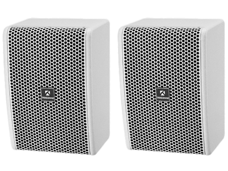 东微TENDZONE 6.5寸二分频全频音箱 AEL-605W(白色，含壁挂架)