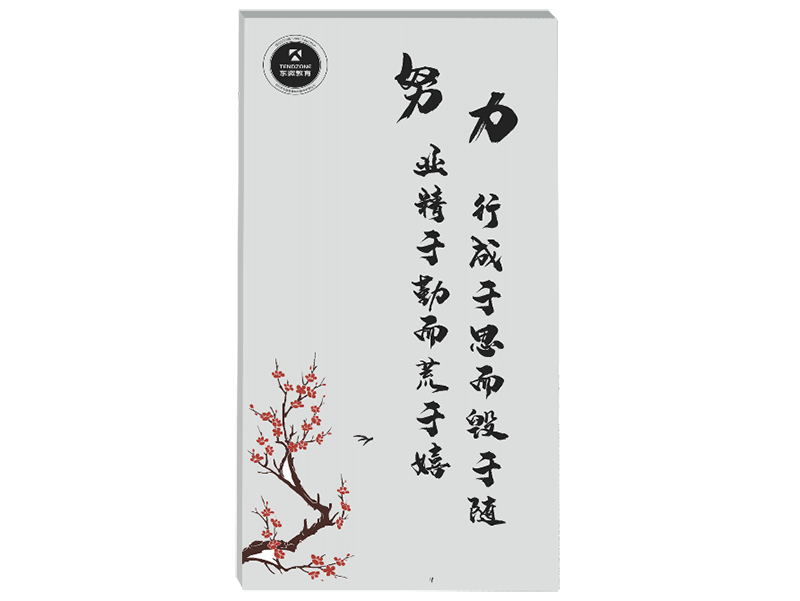 东微TENDZONE 健康声学平板音箱 AEL-50W