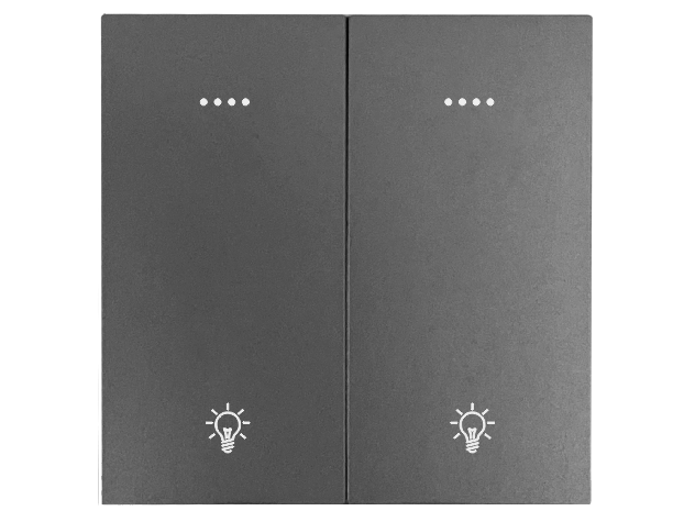 东微TENDZONE 双路零火灯光面板（按键+串口双控））CC-202