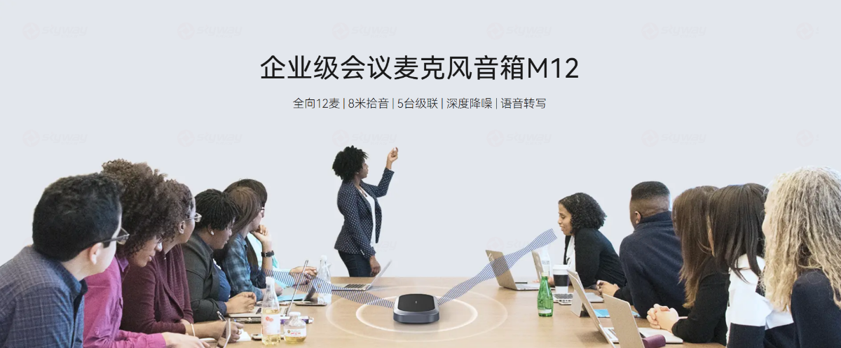 思必驰视频会议方案：大中小型会议室企业级会议麦克风音箱M12