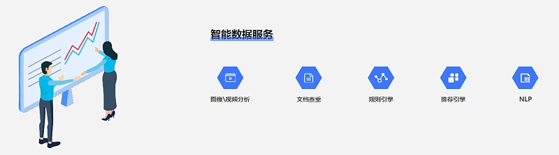 智能数据服务