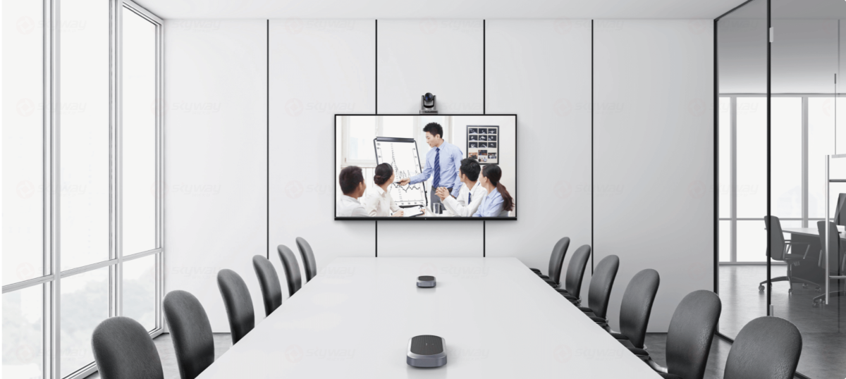 思必驰中型会议室方案（本地扩声、远程会议、声像追踪）