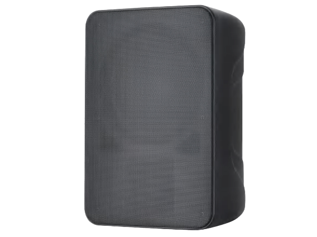 思必驰壁挂模拟音箱 DW80