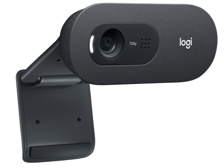 罗技（Logitech）C505e 高清网络摄像头