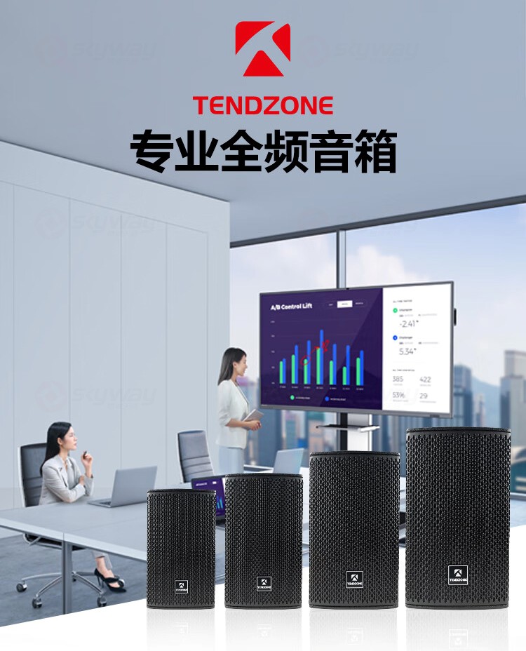 1、专业全频音箱-东微TENDZONE 8英寸全频会议音响EX-8；6寸两分频全频音箱EX-6